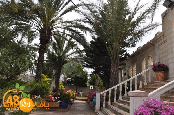 masjed 7san bekaj (11).JPG